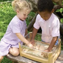 Tabletop Sand and Water Table
