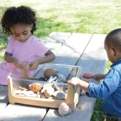 Tabletop Sand and Water Table