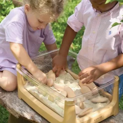 Tabletop Sand and Water Table