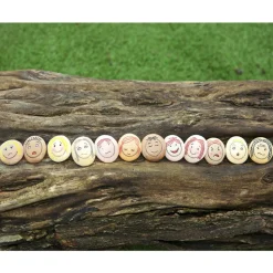 Tactile Facial Expressions Emotion Stones 12 Pieces