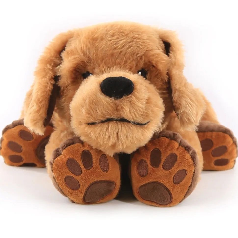 Theo the Weighted Therapy Dog