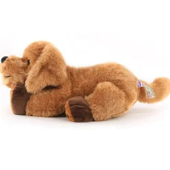 Theo the Weighted Therapy Dog
