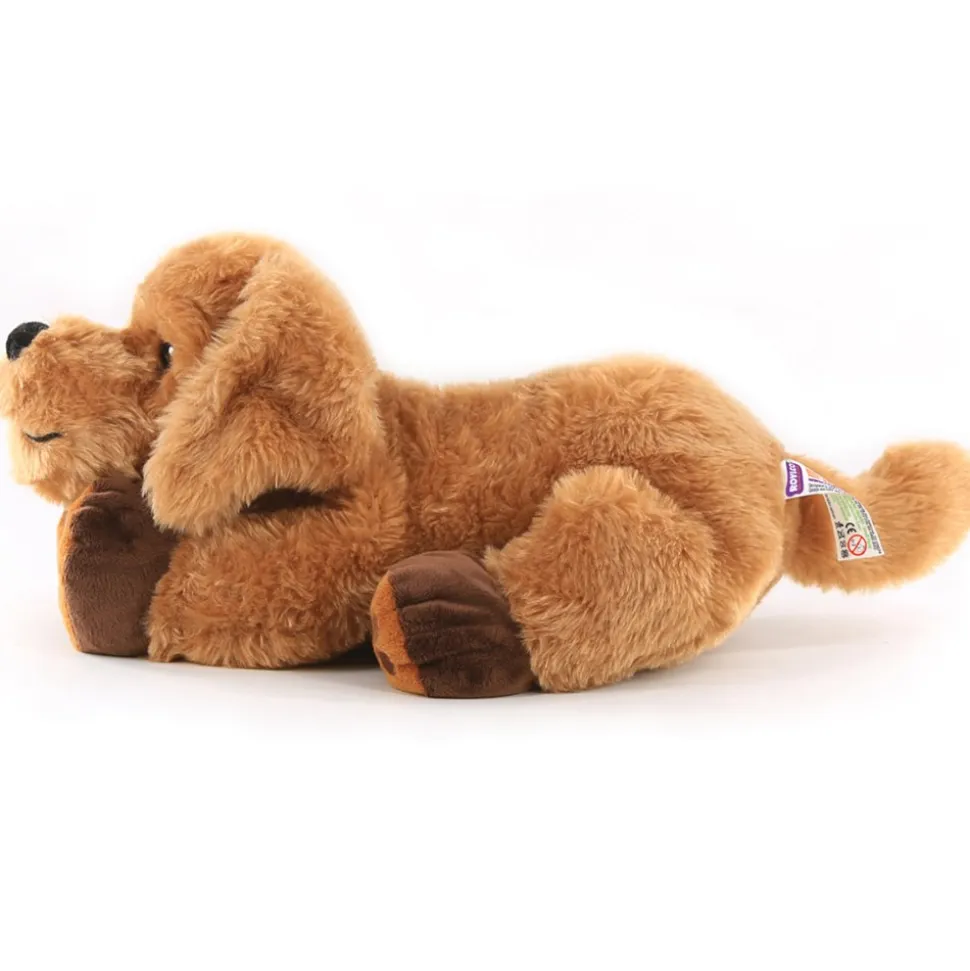 Theo the Weighted Therapy Dog