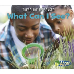 These Are My Senses Books Set of 5