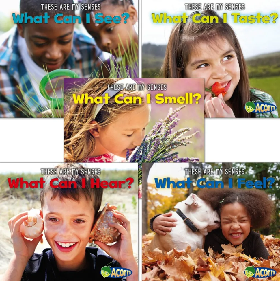 These Are My Senses Books Set of 5