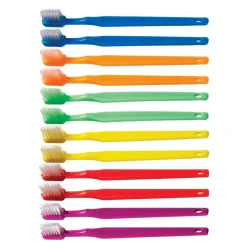 Toddler Toothbrushes Set of 12