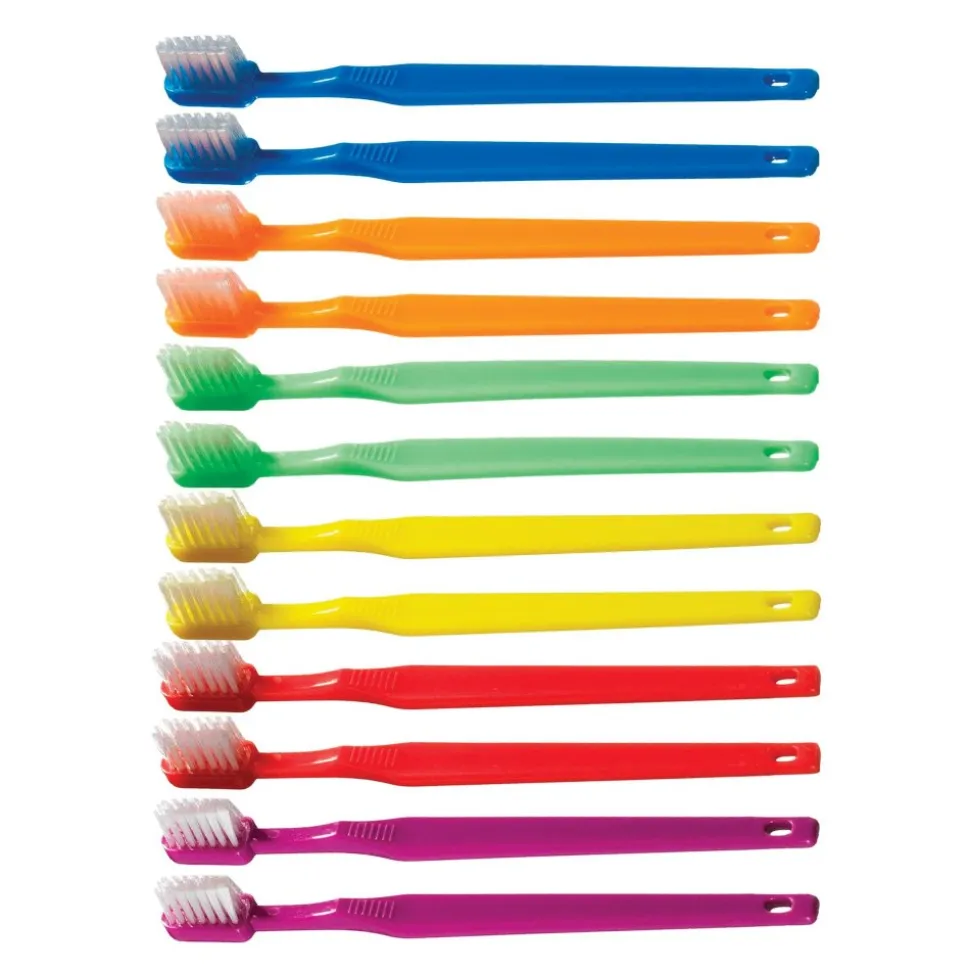 Toddler Toothbrushes Set of 12