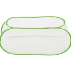 Toothbrush Rack Toothbrushes and Cover Set