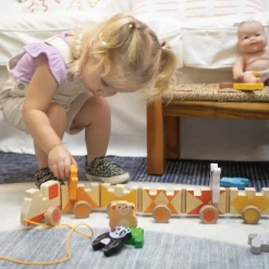 Trainimo Wooden Train and Jungle Animals