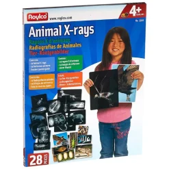 Transparent Animal X-Rays and Pictures