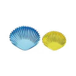 Transparent Tactile Shells 108 Pieces