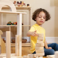 Unit Blocks Basic Classroom Sets