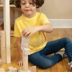 Unit Blocks Basic Classroom Sets
