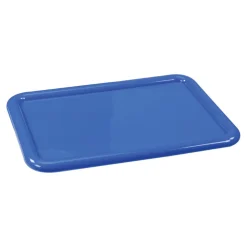 Vibrant Color Storage Bin Lid