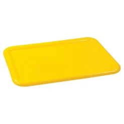 Vibrant Color Storage Bin Lid