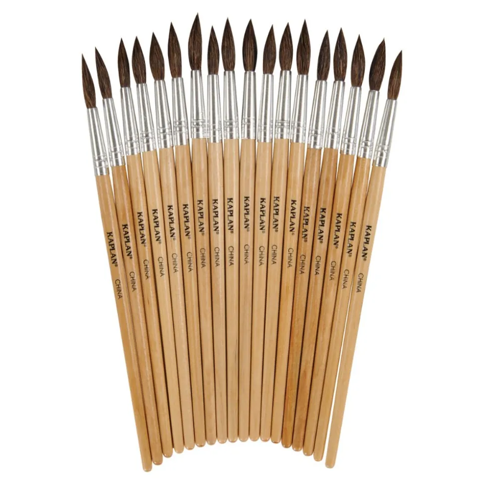 Watercolor Brush Set Set of 18