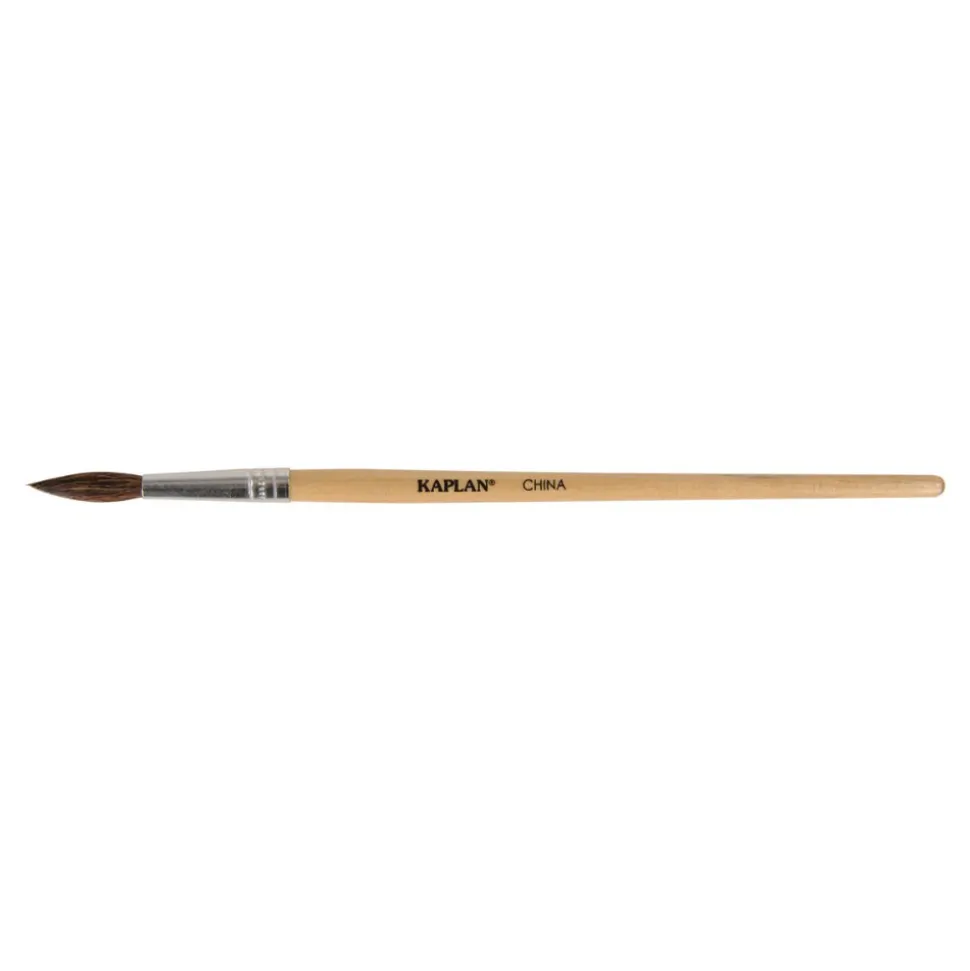 Watercolor Brush Set Set of 18