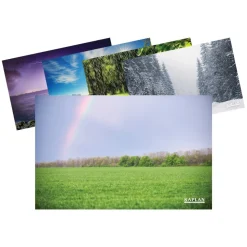 Weather Posters Set of 12