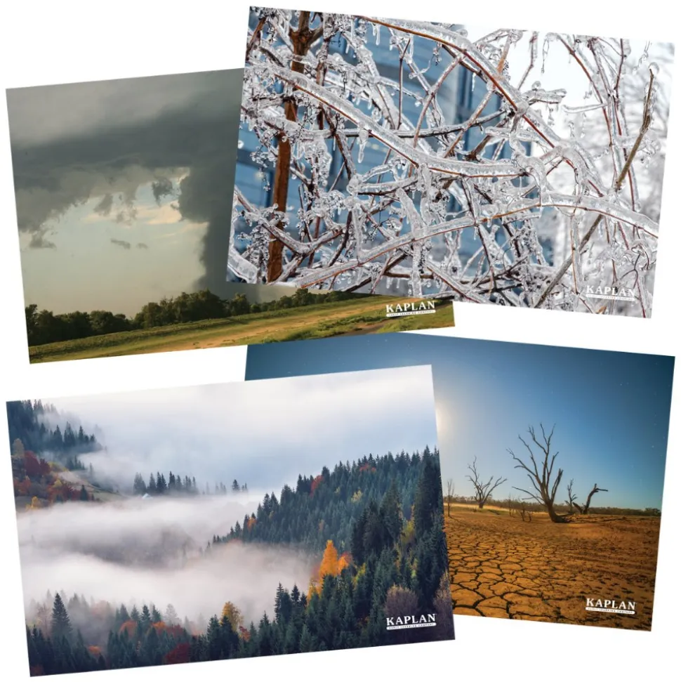 Weather Posters Set of 12