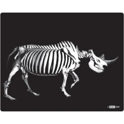 What's Inside Animals?