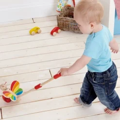 Whimsical Push Toys