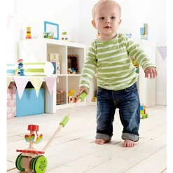 Whimsical Push Toys