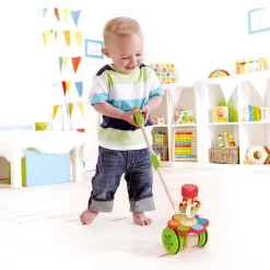 Whimsical Push Toys