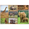 Wild and North American Animals Floor Puzzles Set of 2