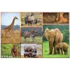 Wild Animal Mother & Baby Floor Puzzle 24 Pieces