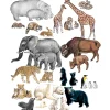 Wild Animals from Different Countries Felt Set