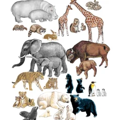 Wild Animals from Different Countries Felt Set
