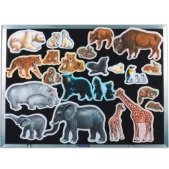 Wild Animals from Different Countries Felt Set