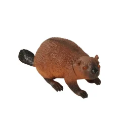 Wilderness & Australian Animal Collections
