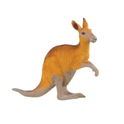 Wilderness & Australian Animal Collections