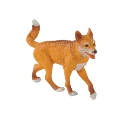 Wilderness & Australian Animal Collections