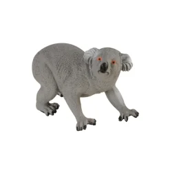 Wilderness & Australian Animal Collections