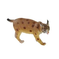 Wilderness & Australian Animal Collections