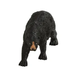 Wilderness & Australian Animal Collections