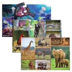 Wildlife Floor Puzzles Set of 3