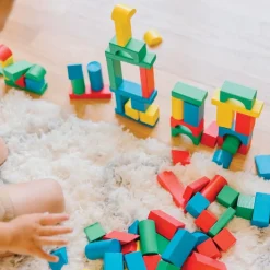 Wooden Color Blocks 100 Pieces