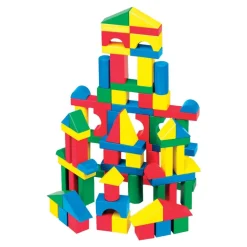 Wooden Color Blocks 100 Pieces