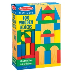Wooden Color Blocks 100 Pieces