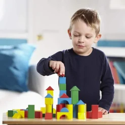 Wooden Color Blocks 200 Pieces
