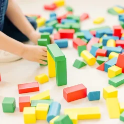 Wooden Color Blocks 200 Pieces