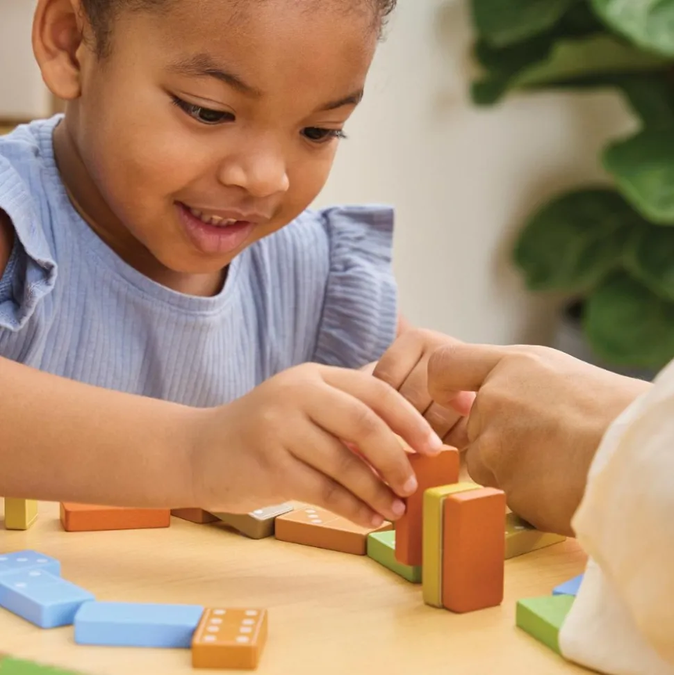 Wooden Dominoes