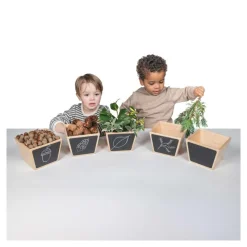 Wooden Sorting Pots Set of 5