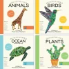 Words of the World Board Books Set of 4