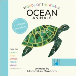 Words of the World Board Books Set of 4